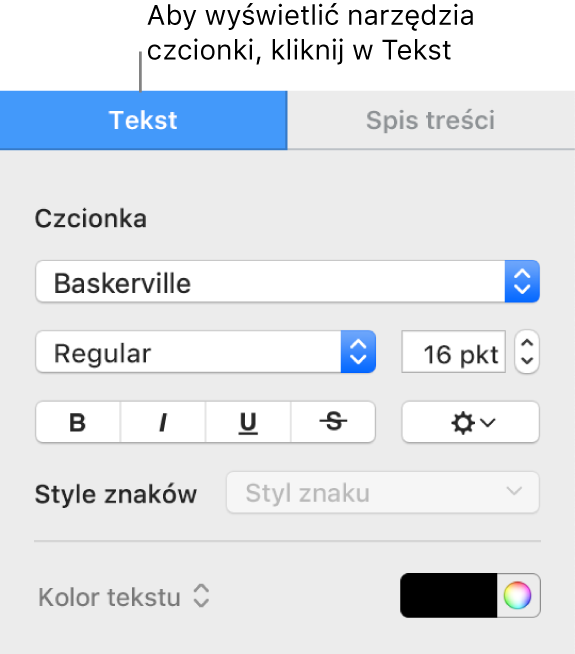 Pasek boczny Format z wybraną kartą Tekst oraz widocznymi narzędziami do zmieniania czcionki i wielkości czcionki oraz dodawania stylów znaków.