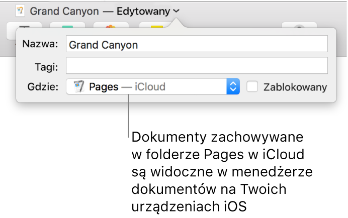 Okno dialogowe zachowywania dokumentu w Pages: w menu podręcznym miejsca wybrany jest iCloud Drive.