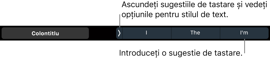 Bara Touch Bar de pe MacBook Pro, cu comenzi pentru alegerea unui stil de text, pentru ascunderea sugestiilor de scriere și pentru inserarea sugestiilor de scriere.