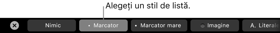 Bara Touch Bar de pe MacBook Pro, cu comenzi pentru alegerea unui stil de listă.