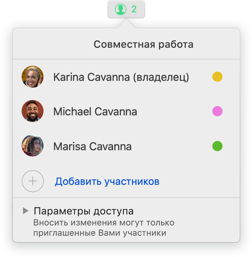 Меню «Совместная работа», в котором показаны имена людей, совместно работающих над документом. Под именами находятся параметры общего доступа.