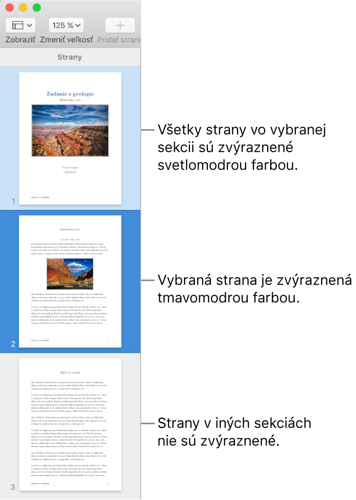 Postranný panel Zobrazenie miniatúr s vybranou stranou, ktorá je zvýraznená tmavomodrou farbou. Všetky strany vo vybranej sekcii sú zvýraznené svetlomodrou farbou.