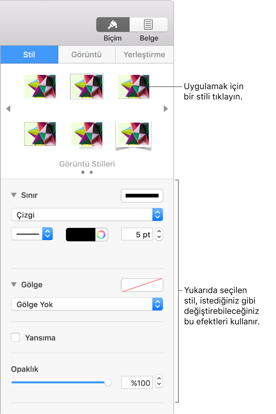 Nesne stili seçeneklerini gösteren Biçim kenar çubuğunun Stil sekmesi.