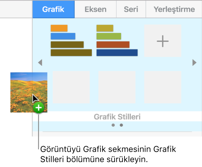 Yeni bir stil yaratmak için kenar çubuğunun grafik stilleri bölümüne bir görüntü sürükleme.