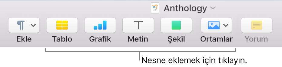 Tablo, grafik, metin, şekil ve ortam eklemek için kullanılan düğmelerin bulunduğu araç çubuğu.