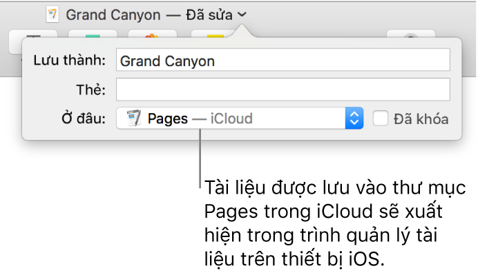 Hộp thoại Lưu tài liệu Pages – iCloud trong menu bật lên Vị trí.
