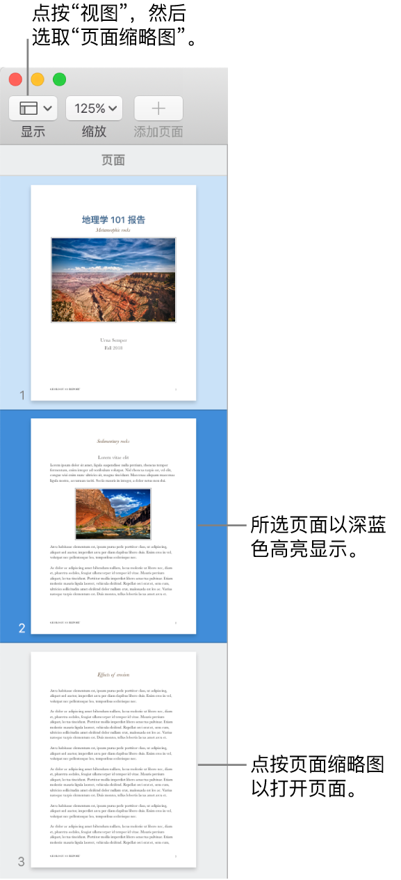Pages 文稿窗口左侧的边栏中“页面缩略图”视图已打开，所选页面高亮显示为深蓝色。