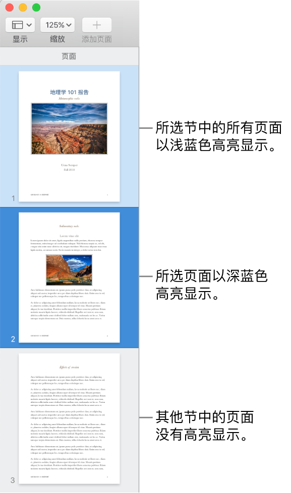 “缩略图视图”边栏，带有以深蓝色高亮显示的所选页面以及以浅蓝色高亮显示的所选节中的所有页面。