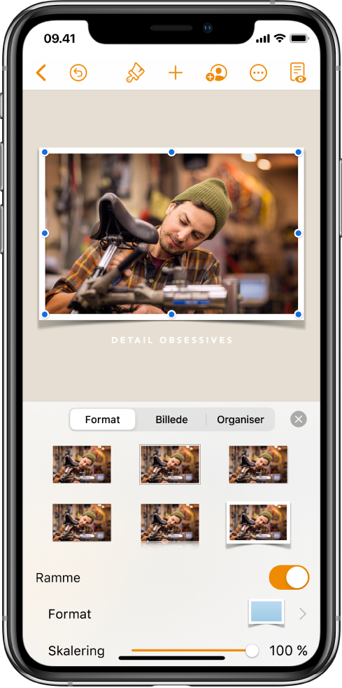 Betjeningsmulighederne til Format, der bruges til at ændre det valgte billedes størrelse og udseende. Knapperne Format, Billede og Organiser vises vandret over toppen af betjeningsmulighederne.