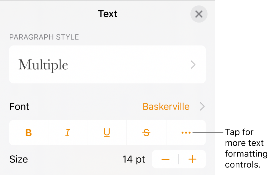 The Text tab of the Format controls, with a callout to the More Text Options button.