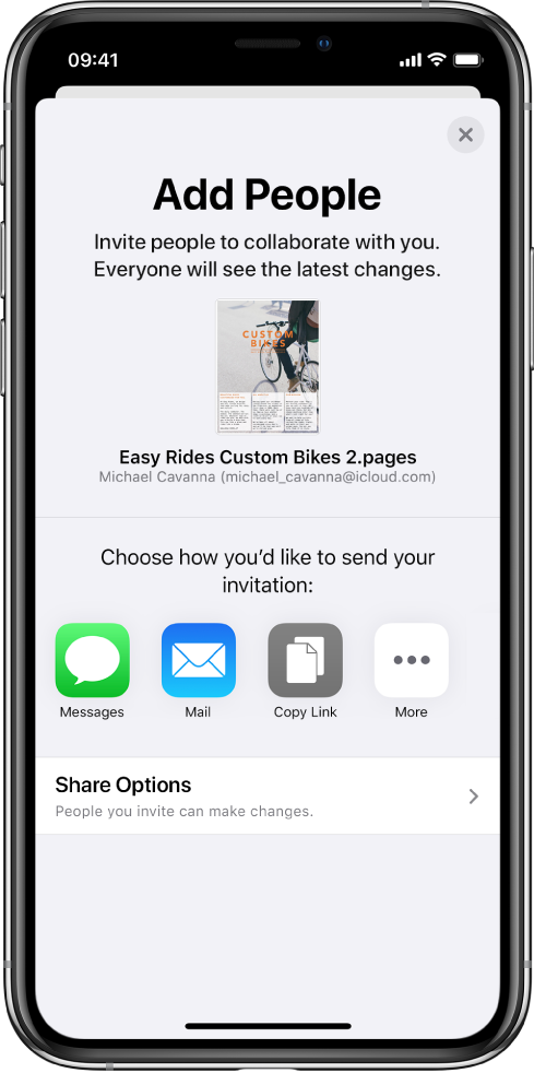 The Add People screen showing a picture of the document to be shared. Below it are buttons for ways to send the invitation, including Messages and Mail, a Copy Link and More. At the bottom is the Share Options button.