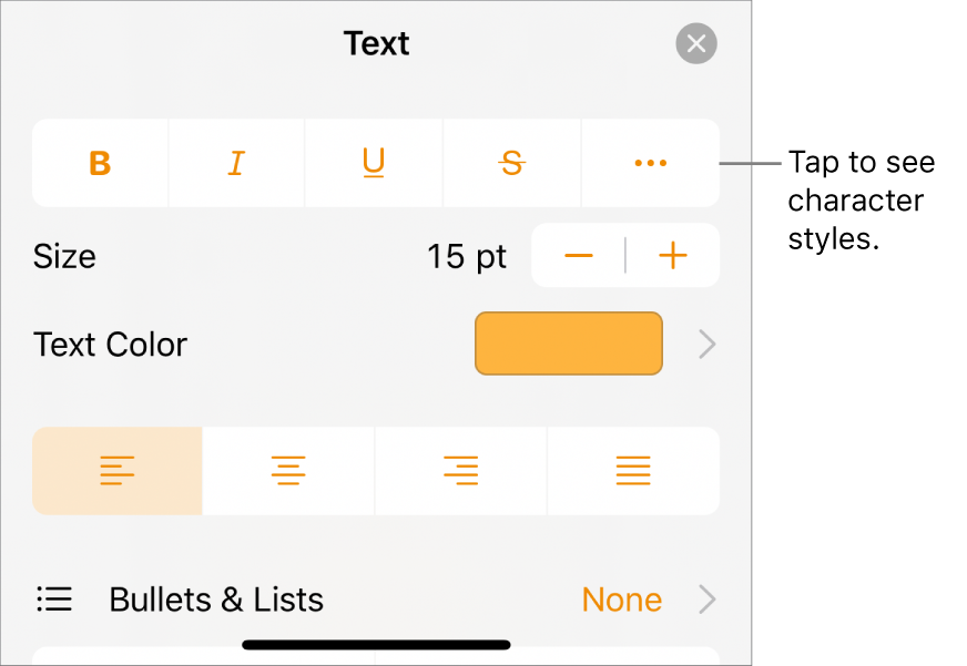 The Format controls with Bold, Italic, Underline, Strikethrough, and More Text Options buttons.