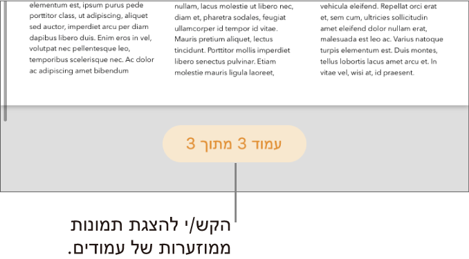 מסמך פתוח, עם כפתור מספר העמוד במרכז חלקו התחתון של המסך.