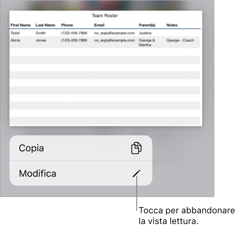 Viene selezionata una tabella e al di sotto di essa si trova un menu contestuale con i pulsanti Copia e Modifica.