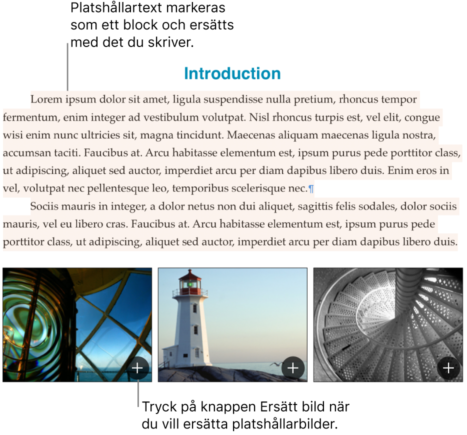 Platshållartext och platshållarbilder.