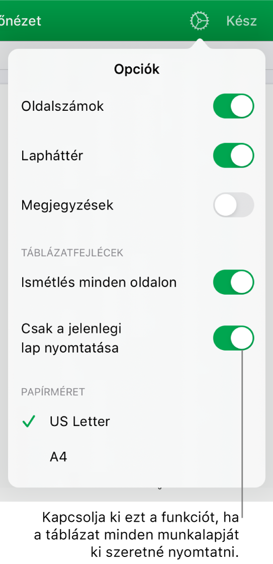 A nyomtatási előnézet panelje, amelyen beállíthatja az oldalszámok megjelenítését, a fejléc ismétlését az egyes oldalakon, módosíthatja a papírméretet, és kiválaszthatja, hogy az egész táblázatot szeretné-e kinyomtatni, vagy csak az aktuális munkalapot.