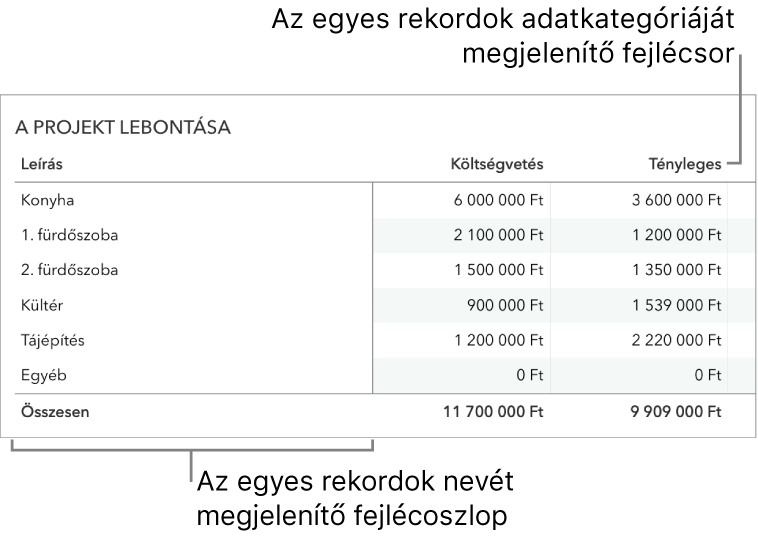 Űrlapok használatára beállított táblázat egy adatkategóriákat tartalmazó fejlécsorral és egy fejlécoszloppal.