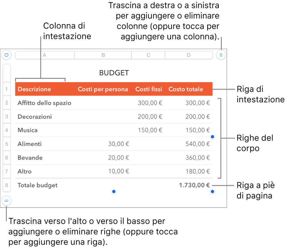 Tabella con righe e colonne di intestazione, corpo e piè di pagina, nonché le maniglie per aggiungere o eliminare righe o colonne.