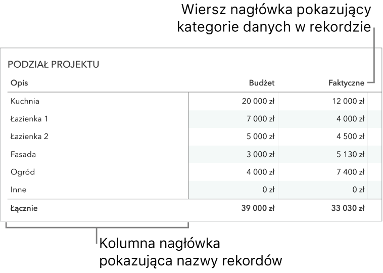 Tabela przygotowana do użycia z formularzem, zawierająca wiersz nagłówka z kategoriami danych oraz kolumnę nagłówka.