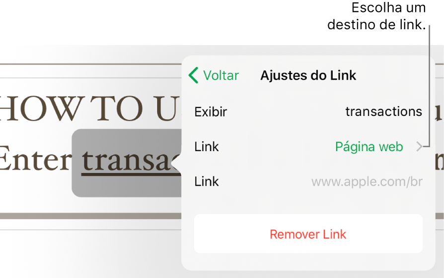 Popover “Ajustes do Link” com o campo Exibir, Link (definido como Página web) e o campo Link. O botão Remover Link está na parte inferior.