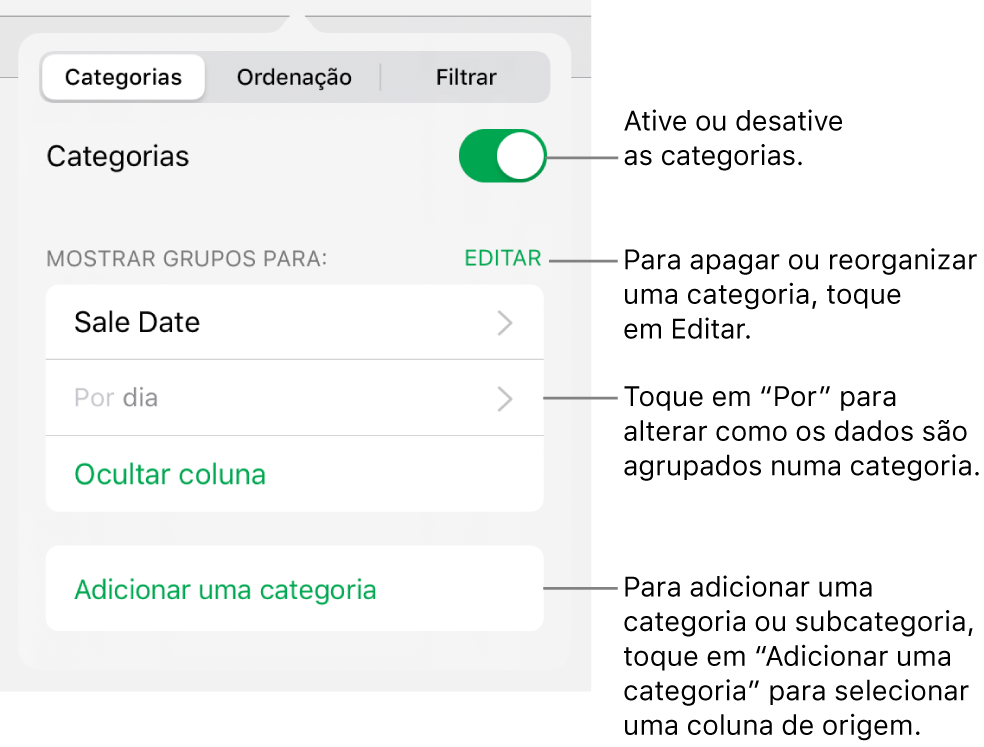 O menu Categorias para iPad com opções para desativar as categorias, apagar categorias, reagrupar dados, ocultar uma coluna de origem e adicionar categorias.