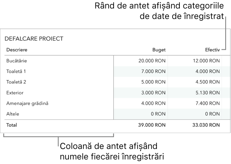 Un tabel configurat corect pentru a fi utilizat cu formulare, cu un rând de antet care include categoriile de date și o coloană de antet.