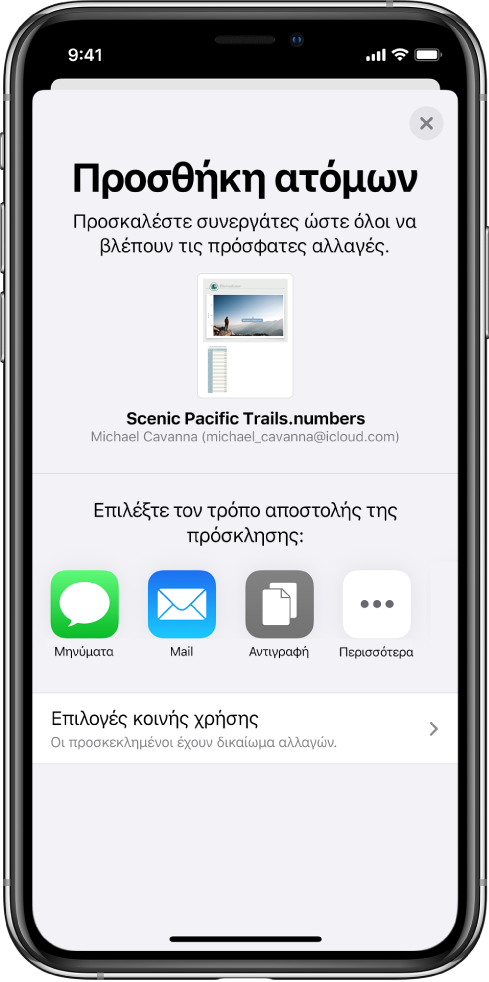 Η οθόνη «Προσθήκη ατόμων» στην οποία εμφανίζεται μια φωτογραφία του υπολογιστικού φύλλου προς κοινή χρήση. Κάτω από αυτήν υπάρχουν κουμπιά για την αποστολή της πρόσκλησης με διάφορους τρόπους, όπως Μηνύματα και Mail, «Αντιγραφή συνδέσμου» και «Περισσότερα». Στο κάτω μέρος υπάρχει το κουμπί «Επιλογές κοινής χρήσης».