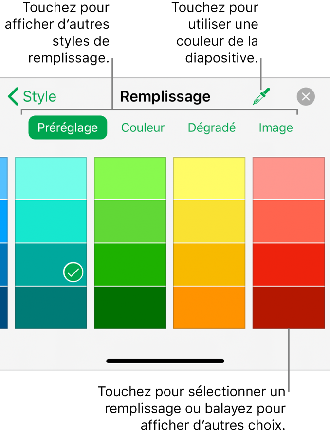 Options de remplissage de l’onglet Style du bouton Format.