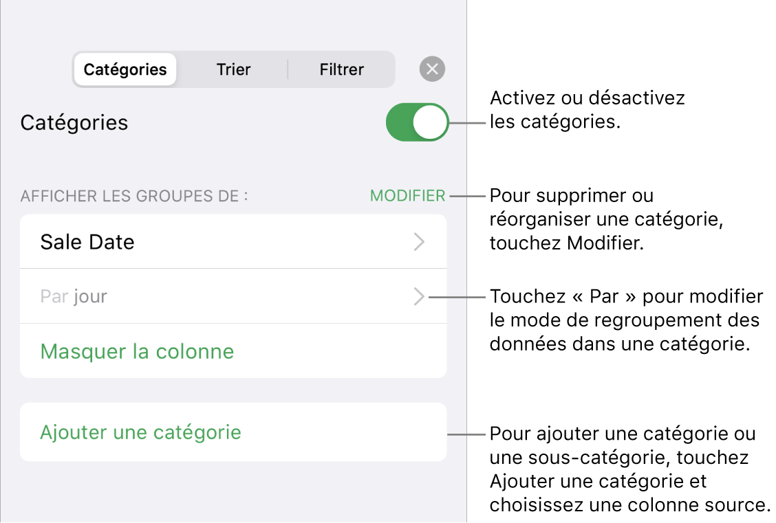 Le menu Catégories pour l’iPhone avec des options pour désactiver des catégories, supprimer des catégories, regrouper des données, masquer une colonne source et ajouter des catégories.