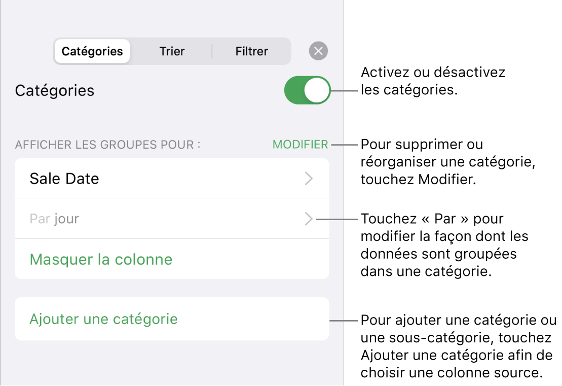 Le menu catégories pour iPhone, avec des options permettant de désactiver les catégories, supprimer des catégories, regrouper des données, masquer une colonne source et ajouter des catégories.