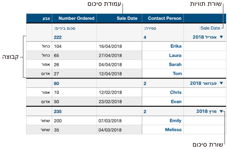 טבלה המסודרת בקטגוריות ומציגה את עמודת המקור, קבוצות, שורת סיכום ושורת תוויות.