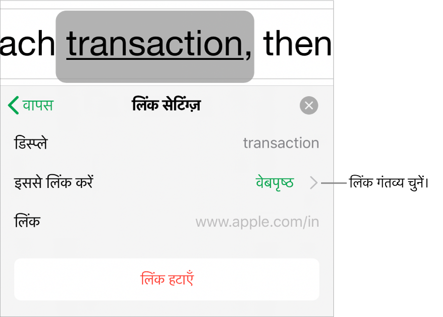 “प्रदर्शन” फ़ील्ड, “इससे लिंक करें” (चयनित सेट) और “लिंक” फ़ील्ड से लिंक सेटिंग्ज़ नियंत्रण करते हैं। “लिंक हटाएँ” बटन नियंत्रण के सबसे नीचे स्थित होता है।