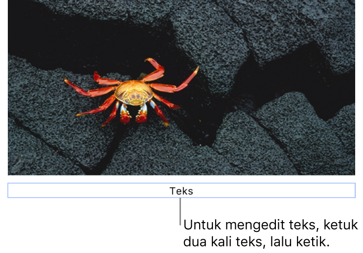 Teks placeholder, “Teks”, muncul di bawah foto; kerangka biru di sekitar bidang teks menampilkan bahwa objek dipilih.