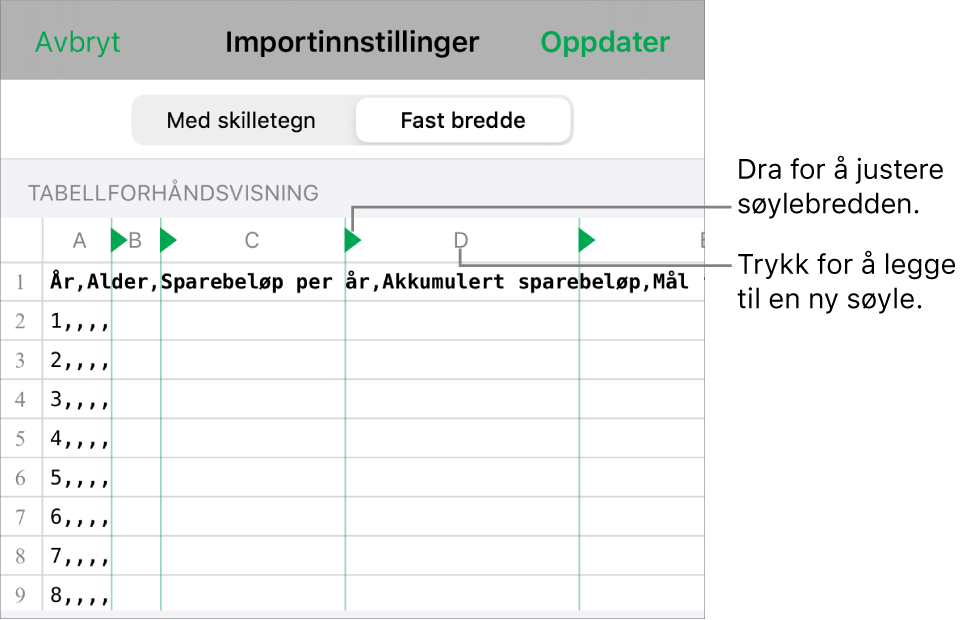 Importinnstillingene for en tekstfil med fast bredde.