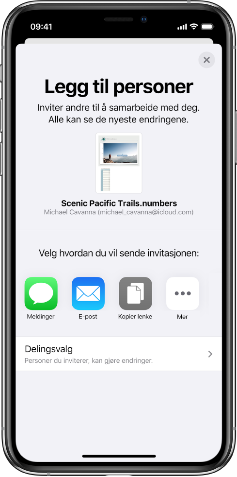 Legg til personer-skjermen som viser et bilde av regnearket som skal deles. Nedenfor er knapper for ulike måter å sende invitasjonen på, blant annet Meldinger og Mail, Kopier kobling og Mer. Delingsvalg-knappen er nederst.