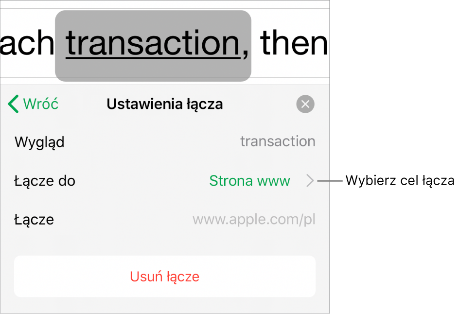 Narzędzia Ustawienia łącza, zawierające następujące pola: Wygląd, Łącze do (wybrana jest pozycja Witryna) oraz Łącze. Na dole widoczny jest przycisk Usuń łącze.