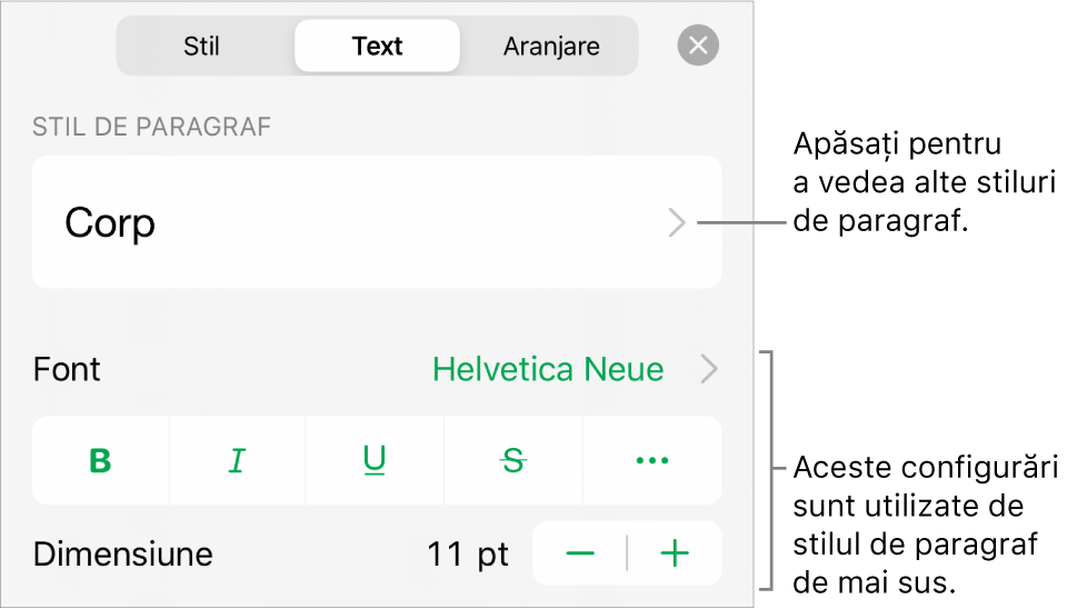 Meniul Format afișând comenzi de text pentru configurarea stilurilor, fonturilor, dimensiunii și culorii paragrafelor și caracterelor.