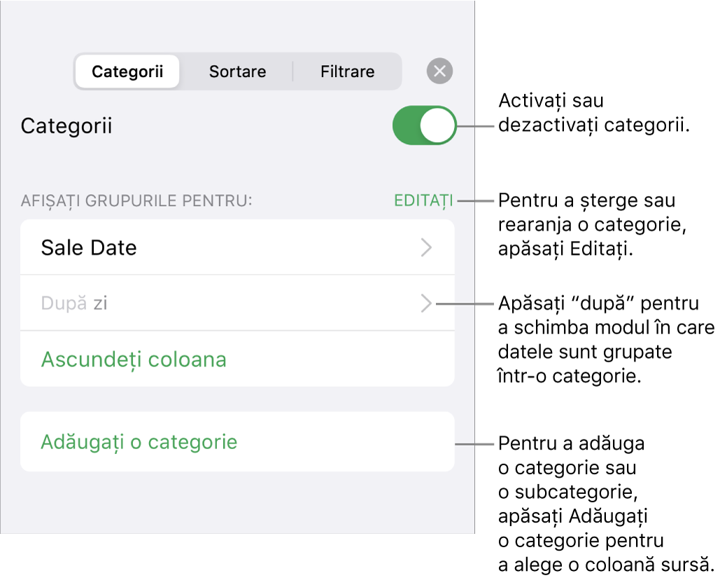 Meniu Categorii pentru iPhone cu opțiuni pentru a dezactiva categoriile, șterge categoriile, regrupa datele, ascunde o coloană sursă și a adăuga categorii.