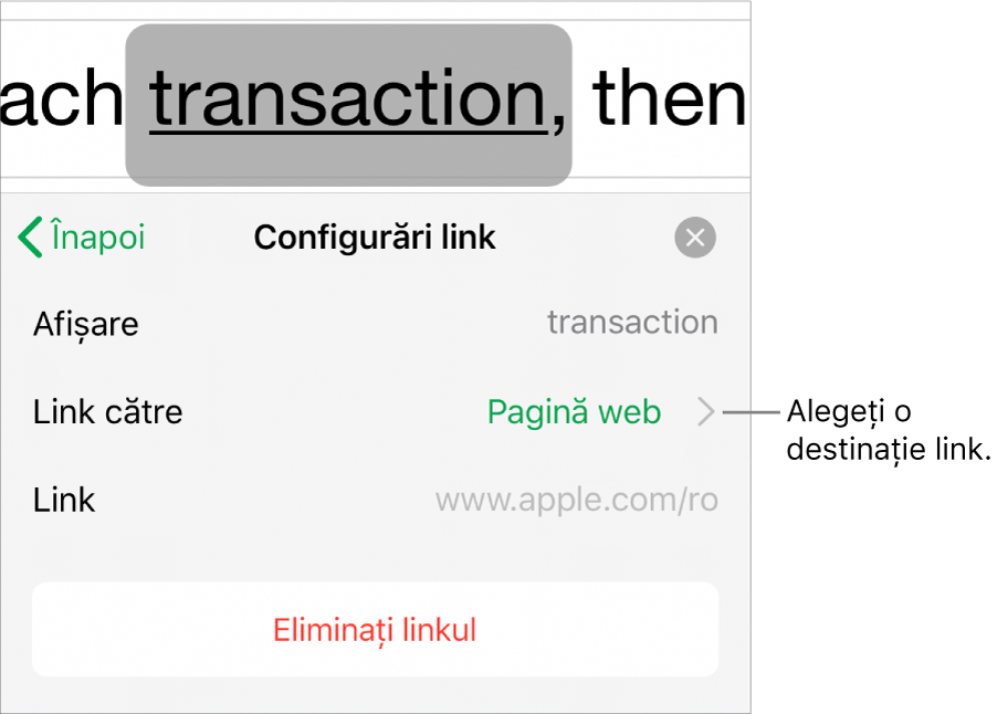Comenzile din Configurări link cu câmpuri pentru Afișare, Link către (este selectată opțiunea Pagină web) și Link. În partea de jos se află butonul Eliminați linkul.
