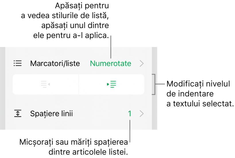 Secțiunea Marcatori/liste din comenzile Format cu explicații pentru Marcatori/liste, butoanele de indentare și indentare exterioară, precum și comenzile pentru spațierea liniilor.