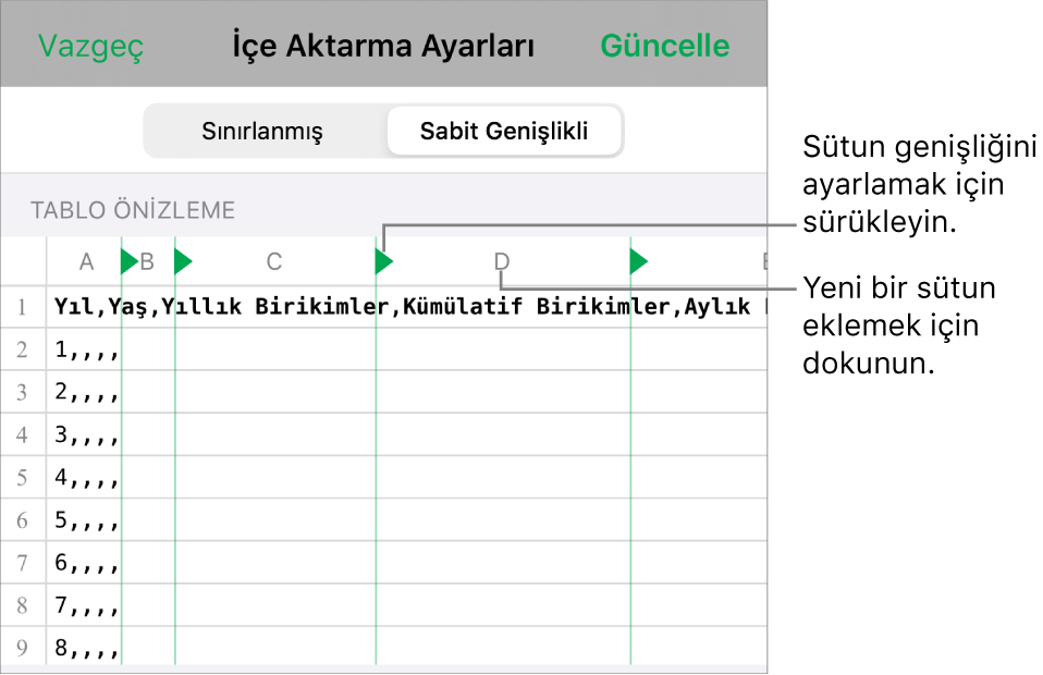 Sabit genişlikli metin dosyası için içe aktarma ayarları.