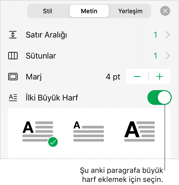 Metin menüsünün en altında yer alan İlki Büyük Harf denetimleri.