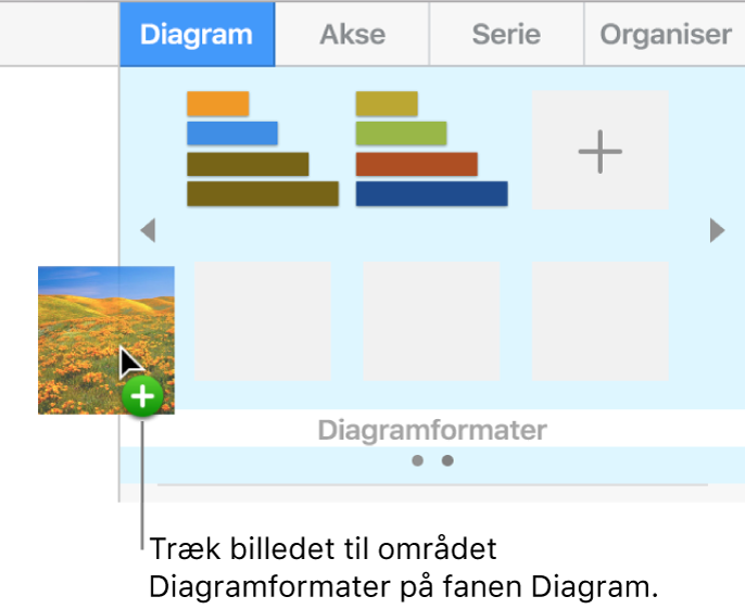 Et billede trækkes til diagramformaterne i indholdsoversigten for at oprette et nyt format.