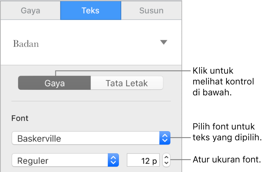 Kontrol teks di bagian Gaya pada bar samping Format untuk mengatur font dan ukuran font.