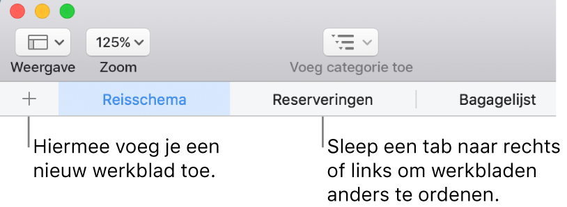 De tabbladbalk voor het toevoegen van een nieuw werkblad en het opnieuw ordenen van werkbladen.