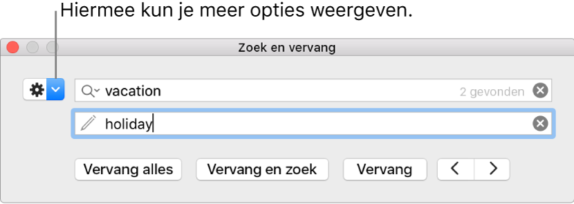 Het venster 'Zoek en vervang' met uitleg bij de knop voor meer opties.