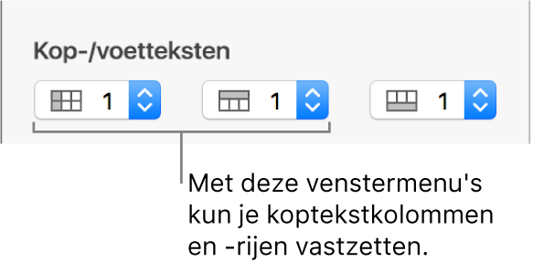 De venstermenu's waarmee je koptekst- en voettekstkolommen en -rijen aan een tabel toevoegt en koptekstrijen en -kolommen vastzet.