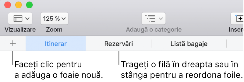 Bara cu file pentru adăugarea unei foi noi și reorganizarea foilor.