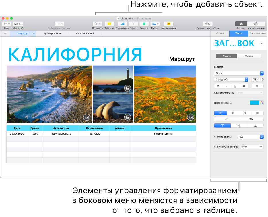 Окно Numbers с открытой вкладкой «Текст» в боковой панели «Формат».