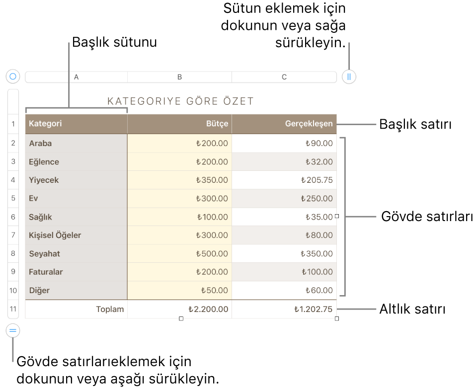 Başlık, gövde ve dipnot satırlarını ve sütunlarını ve satır veya sütun eklemek ya da silmek için tutamakları gösteren bir tablo.